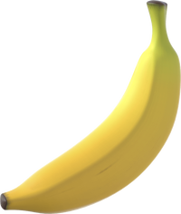PN 2024 Banana Artwork.png