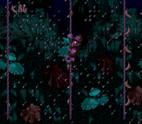 RopeyRampage-Bonus1.png