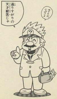 Veterinarian Mario DK1.jpg