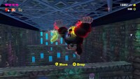 DKB Hung from the Ceiling.jpg