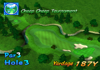 MGTT CCT3.png