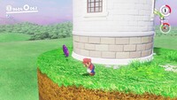 Mushroom Kingdom Coins T.jpg