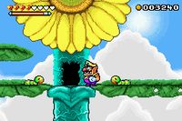 WL4-Big Flower.png