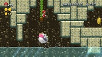 NSMBU 6-2 Coin 3.jpg