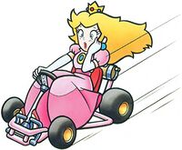 SMK Princess artwork.jpg
