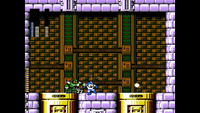 Shroom228 Dark Man 1 fight.png