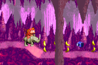 Jungle Hijinxs Photograph 2.png