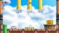SMBW Petal Meddle End.jpg