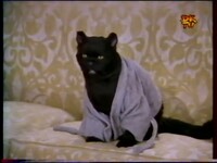 Salem.jpg