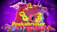 DKB Peekabruiser Title Card.png