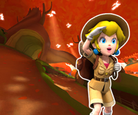 MKT Icon MapleTreewayRWii PeachExplorer.png