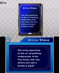 Ninja Steve Bio (B).jpg