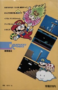 SMB2 volume 2 back cover.jpg