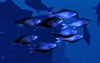 School of bioluminescent fish.png