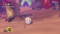 DKB Ostrich Bananza Flighty Feast.jpg
