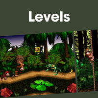NM DKC Levels PL.png