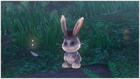 Rabbit - Super Mario Wiki, the Mario encyclopedia