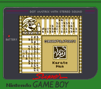 Picross 232-C Name.png
