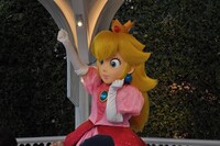 Princess Peach Photo Opportunity.jpg