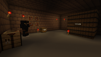 BuildingTheShroomHQ-NinjaLair.png