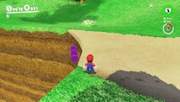 Mushroom Kingdom Coins J.jpg