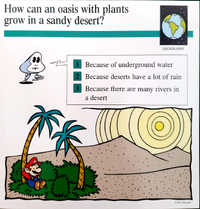 Oasis quiz card.png
