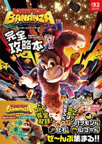 DKB Nintendo DREAM guide.jpg