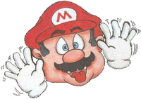LACN Mario face.png