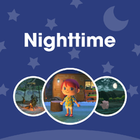 NM Nighttime PL V2.png