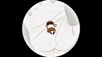 NM WWMI Deep Focus.png
