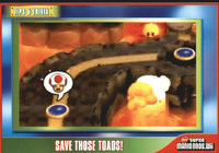 NSMBWiiTC-74-Front.png