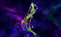 SW230PokemonRayquazaDragonAscentORAS.png