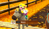 Wario Horse Advanced-MSS.png
