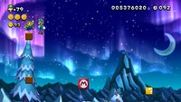 NSLU Fliprus Floes Luigi Sighting.jpg