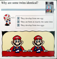 Twins quiz card.png
