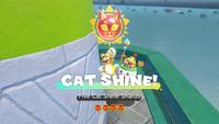 FortFlaptrap FiveCatShineShards.png