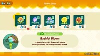 SMBWNS2EFloristPoplin'sFlowerShop.jpg