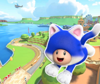 MKT Icon SydneySprint3R CatToad.png