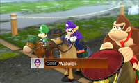 Waluigi Horse Pro-MSS.png