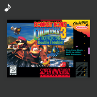 NM DKC3 Top tracks PL.png