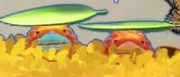 YatMB small Croakaokes.jpg