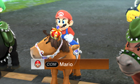 Mario Horse Pro-MSS.png