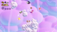 SMBW skydiving level.jpg