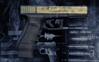 SW195Payday-2.jpg