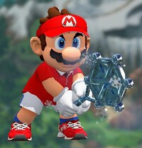 MTA Ice Racket.jpg