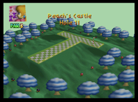 PeachCastleHole11.png