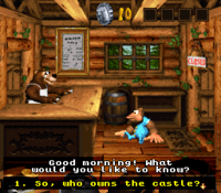 Bazaar's General Store DKC3.png