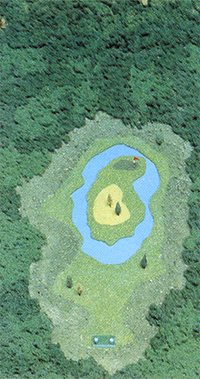 Golf JC Hole 8 art.png