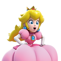 SM3DWBF NSO Icon 72.png