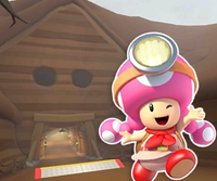 MKT Icon ChocoMountainTN64 ToadetteExplorer.png